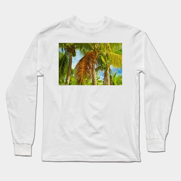Coconut palms Long Sleeve T-Shirt by thadz
